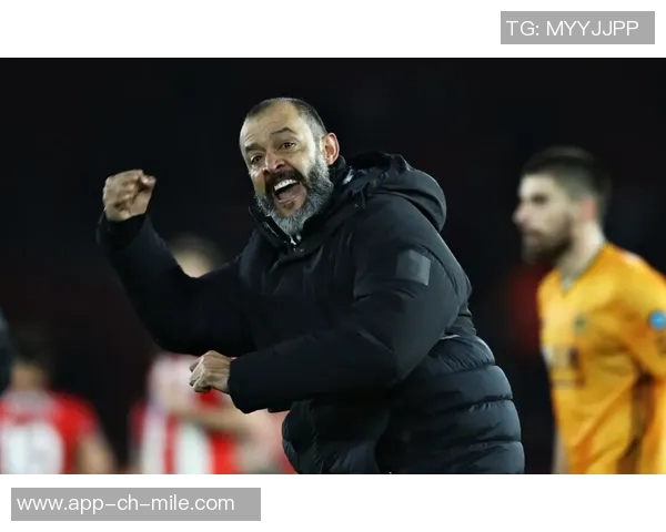 若昂内维斯的足球之路:从青训新星到国际赛场的闪耀之星