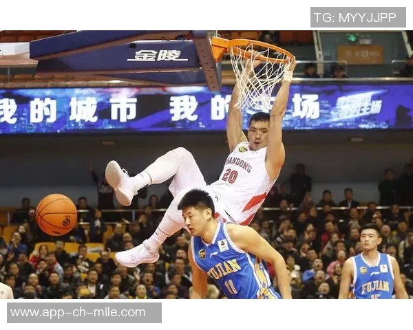 陶汉林：从篮球场上的拼搏者到社会责任的践行者的成长之路